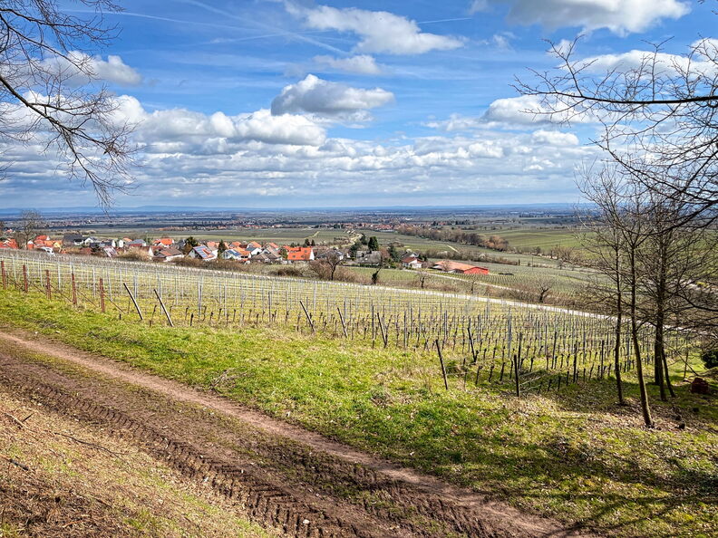 23-03-13 12-49-56 4852